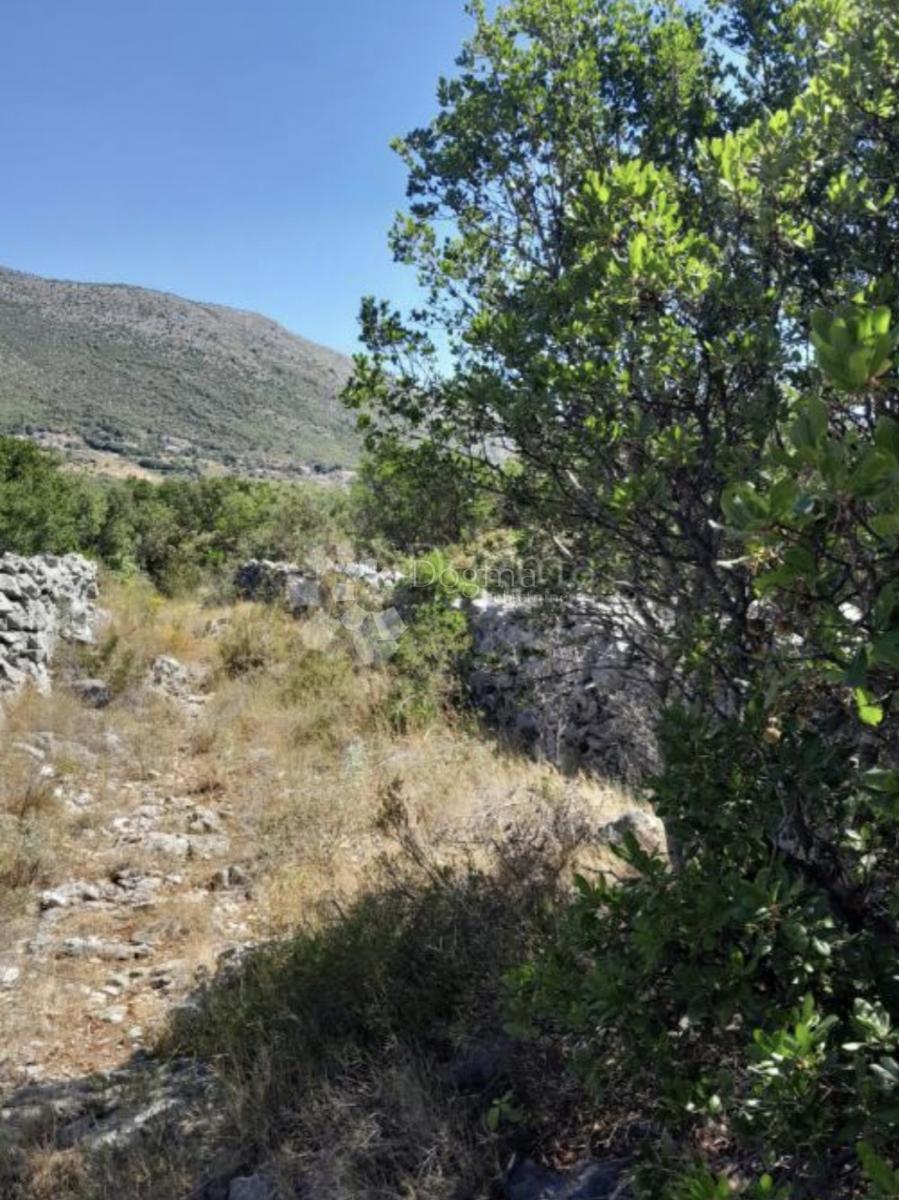 Terreno edificabile Močići, Konavle, 3.002m2