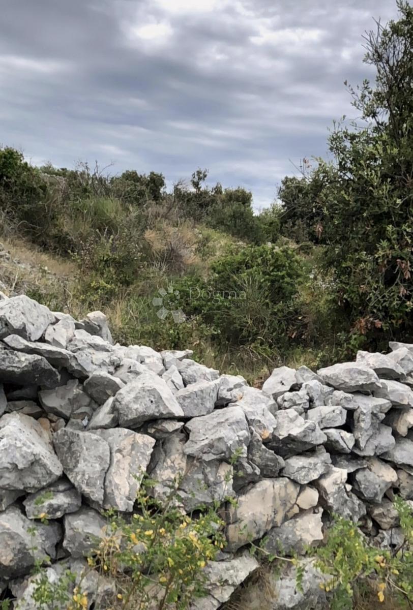 Terreno agricolo Sevid, Marina, 2.517m2