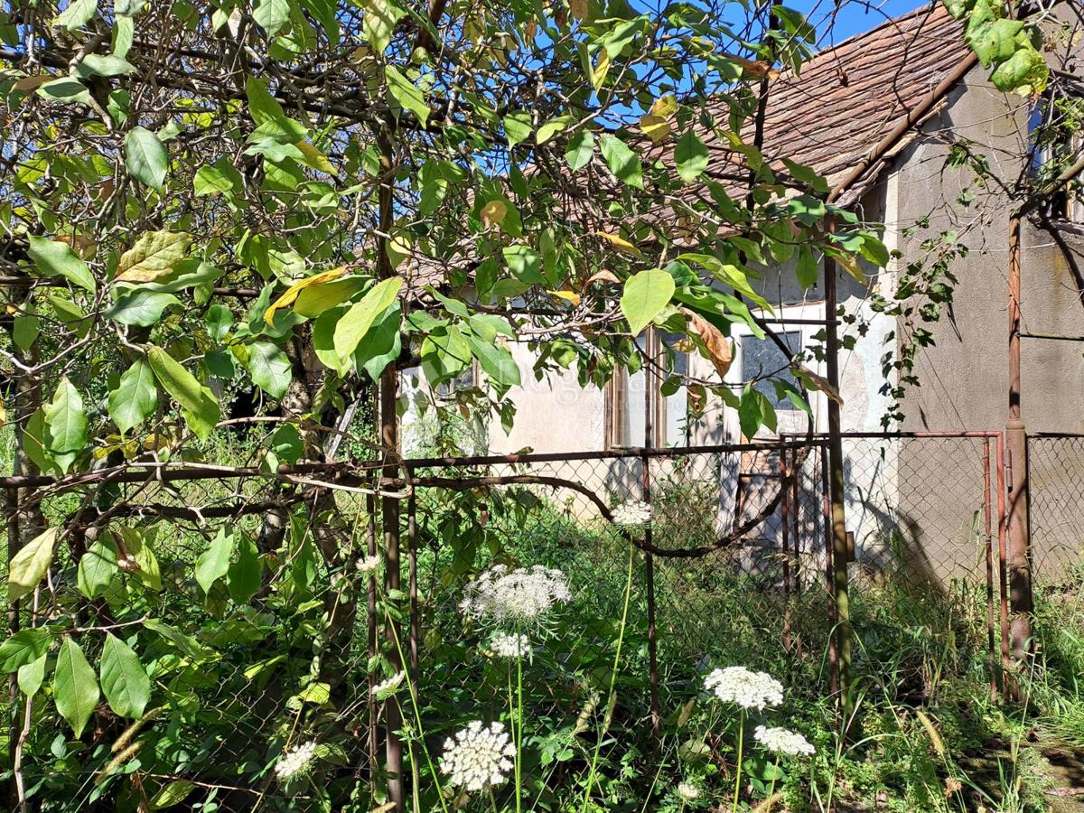 Casa Zeleni brijeg, Sisak, 272m2