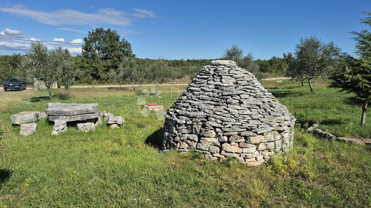 Terreno agricolo con casoni istriani e ulivi 13979 m2