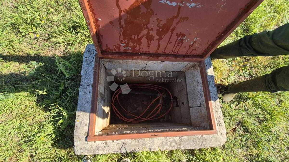 Terreno agricolo con casoni istriani e ulivi 13979 m2