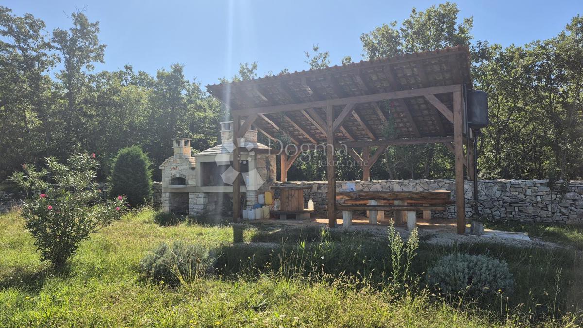 Terreno agricolo con casoni istriani e ulivi 13979 m2