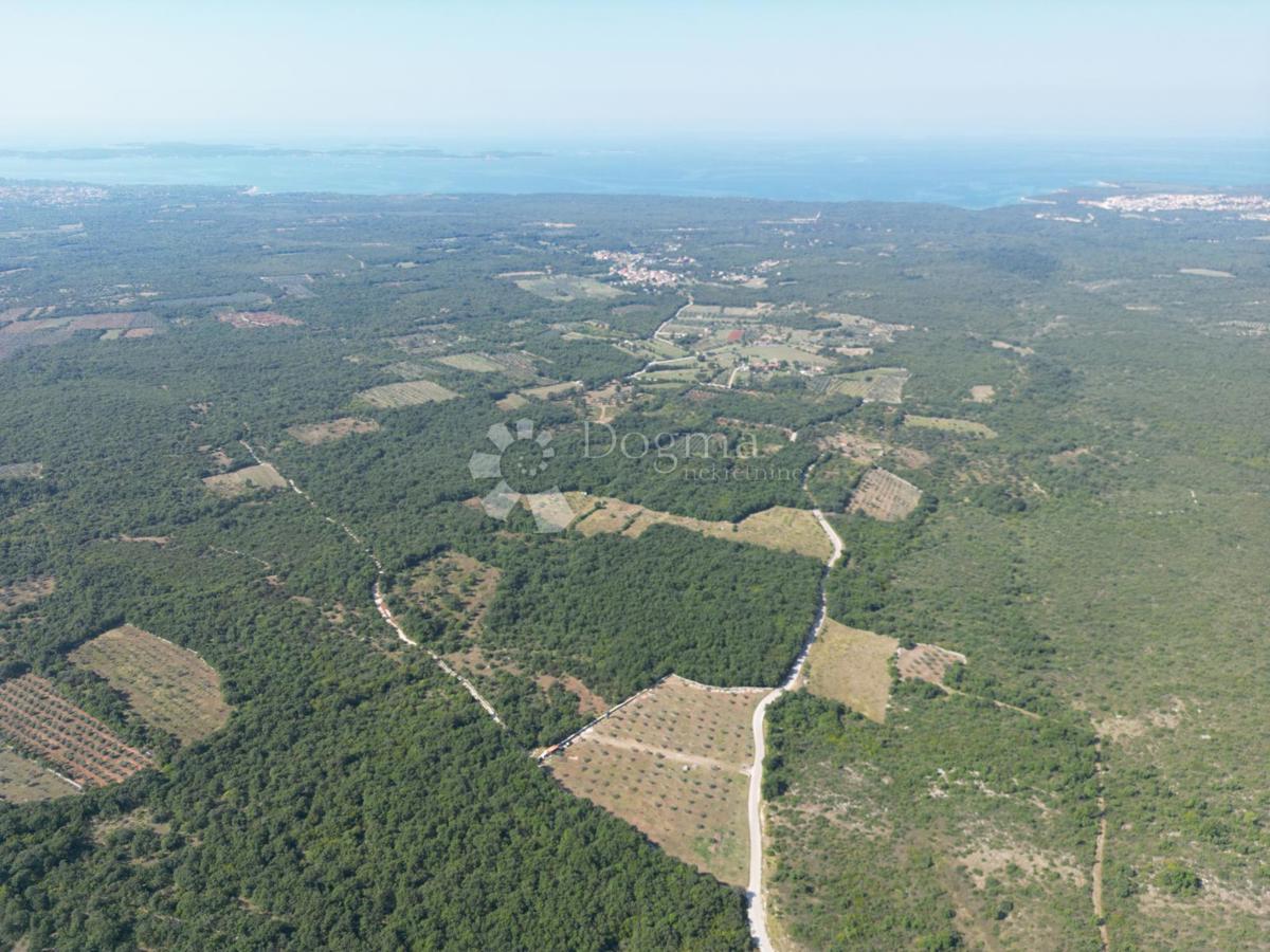 Terreno agricolo con casoni istriani e ulivi 13979 m2