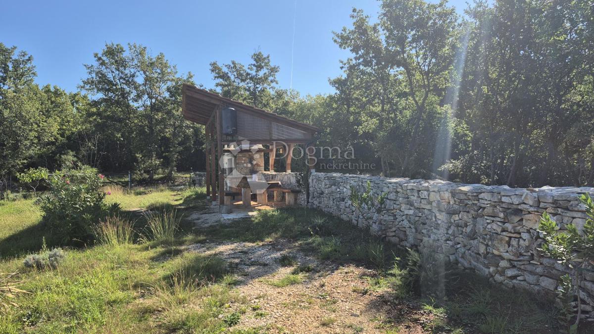 Terreno agricolo con casoni istriani e ulivi 13979 m2