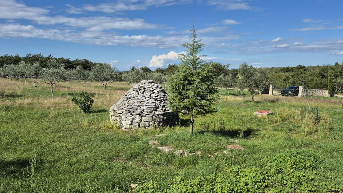 Terreno agricolo con casoni istriani e ulivi 13979 m2
