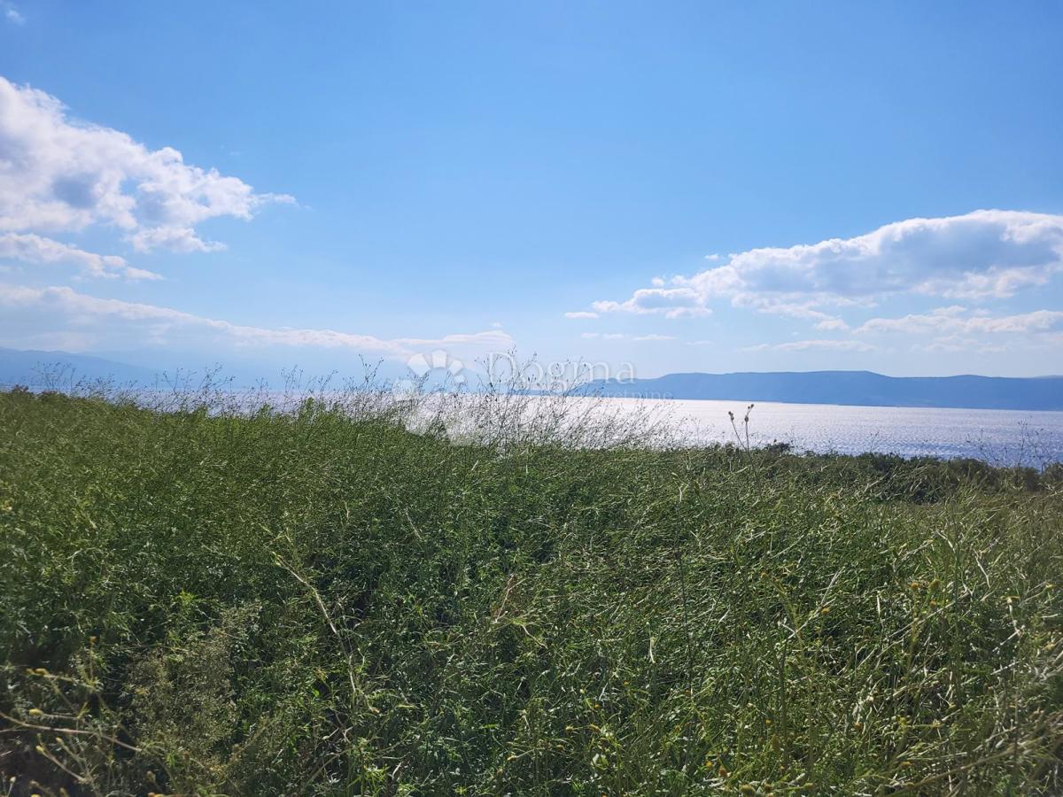 Terreno agricolo Novi Vinodolski, 19.551m2