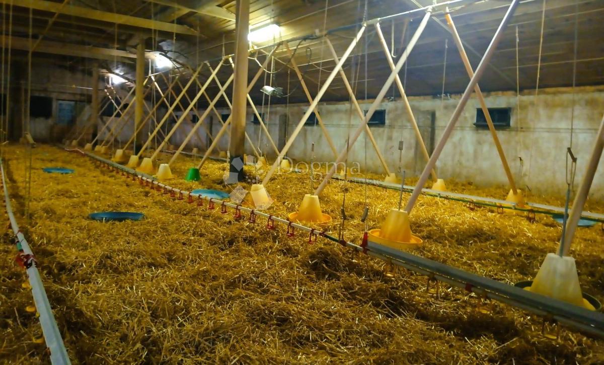 Casa Novo Selo na Dravi, Čakovec - Okolica, 159,22m2