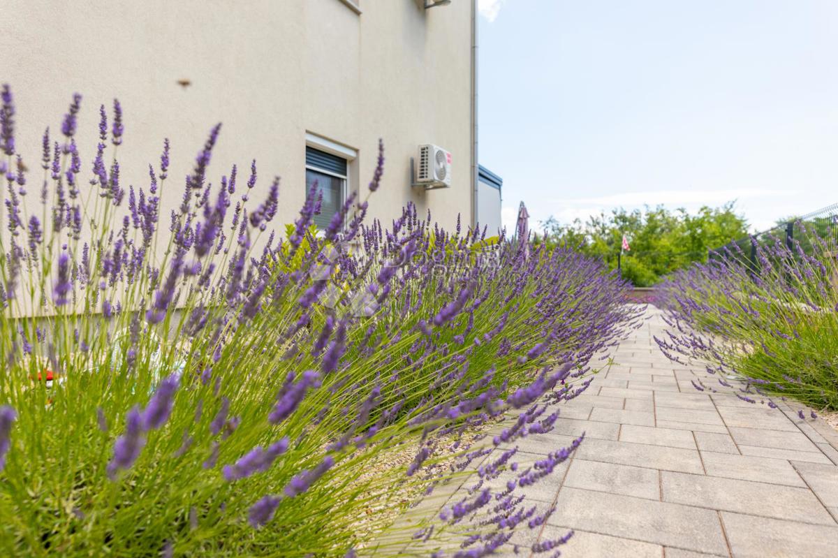 Appartamento Hlapa, Dobrinj, 47m2