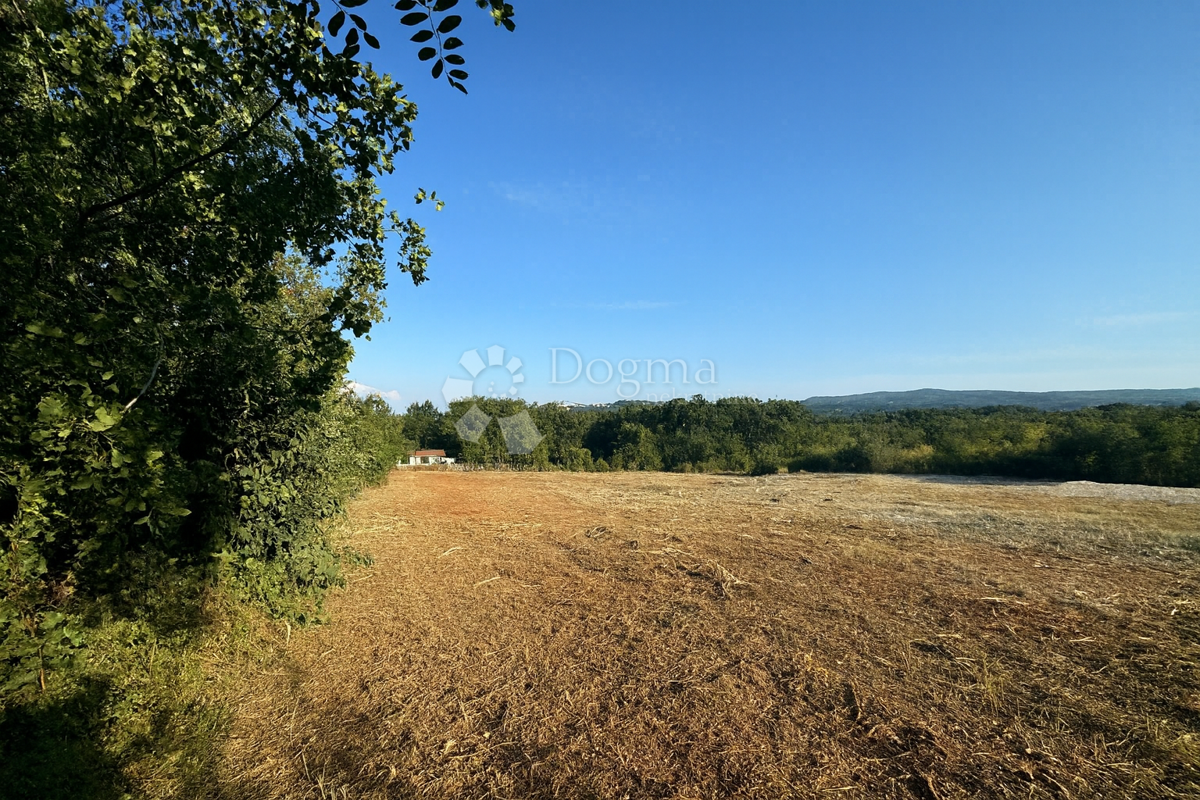 Terreno edificabile Vinež, Labin, 2.078m2