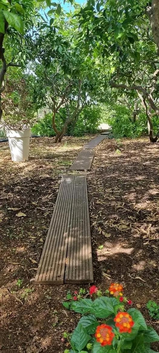 Allogio Lukoran, Preko, 55,47m2