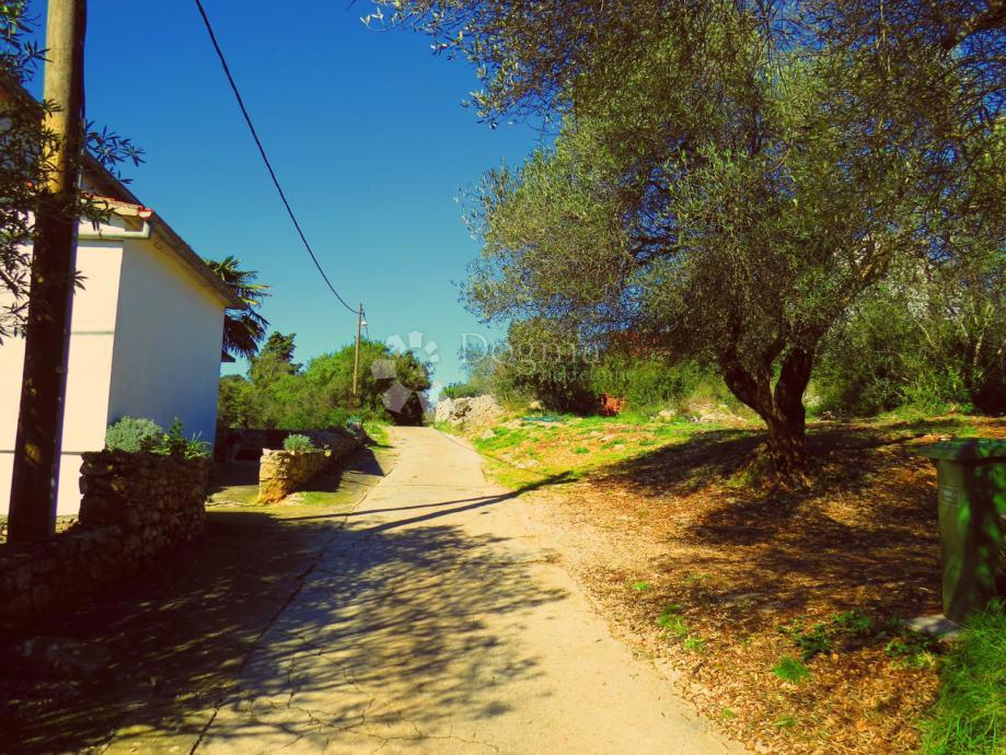 Casa Veli Iž, Zadar - Okolica, 774m2