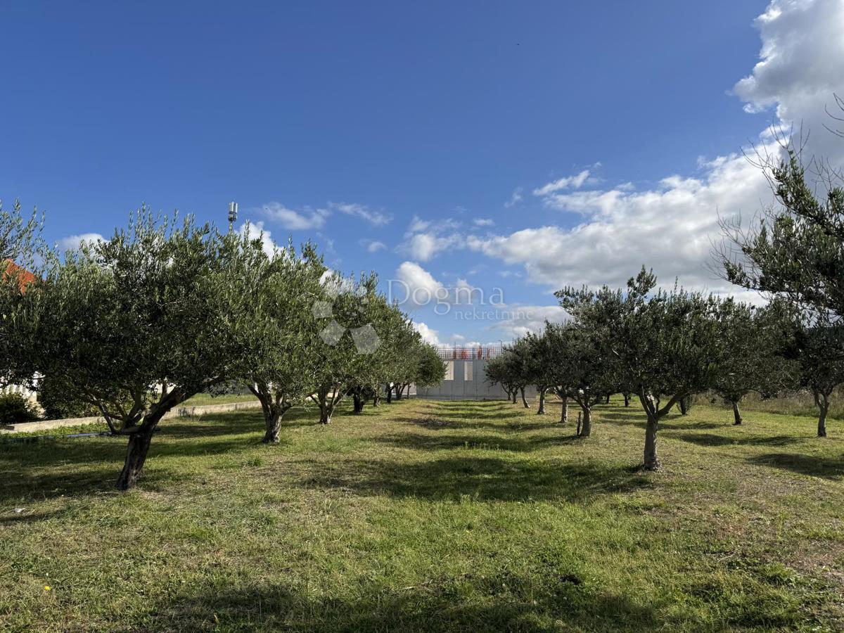 Allogio Nin, 98,30m2