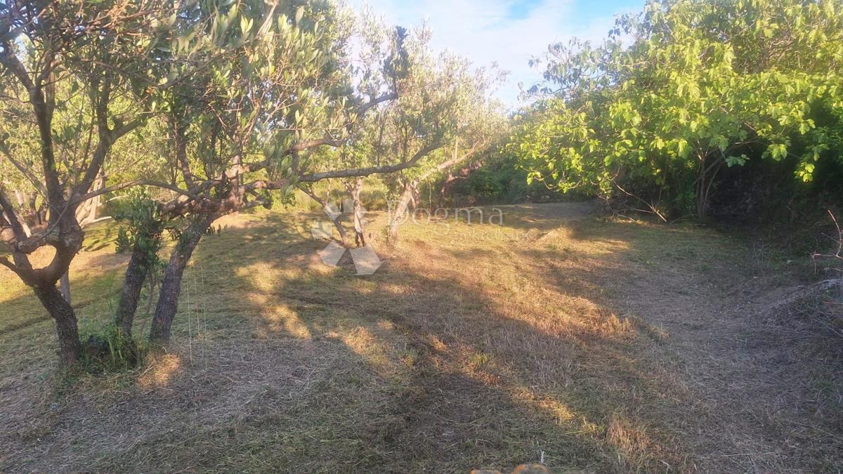 Terreno edificabile Pašman