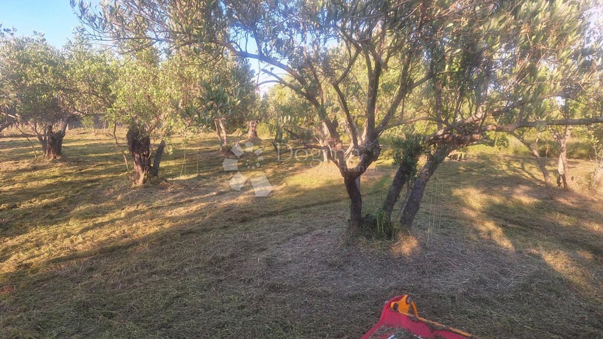 Terreno edificabile Pašman