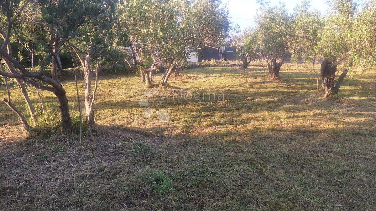 Terreno edificabile Pašman