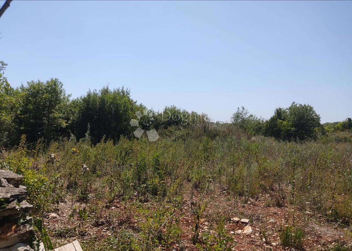 Terreno agricolo Galižana, Vodnjan, 50.000m2