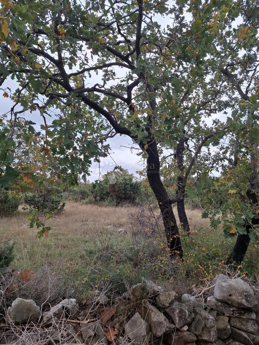 Terreno edificabile Ždrilo, Posedarje, 1.590m2