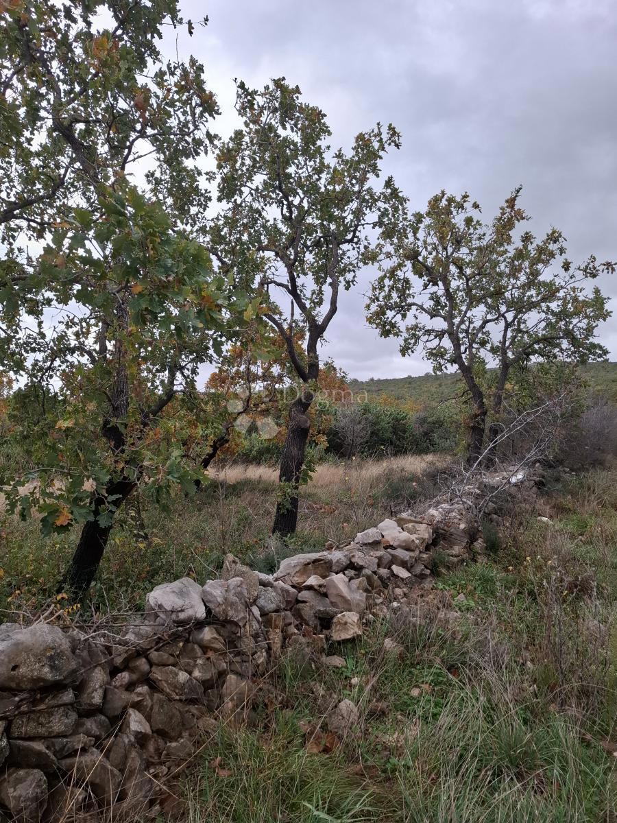 Terreno edificabile Ždrilo, Posedarje, 1.590m2