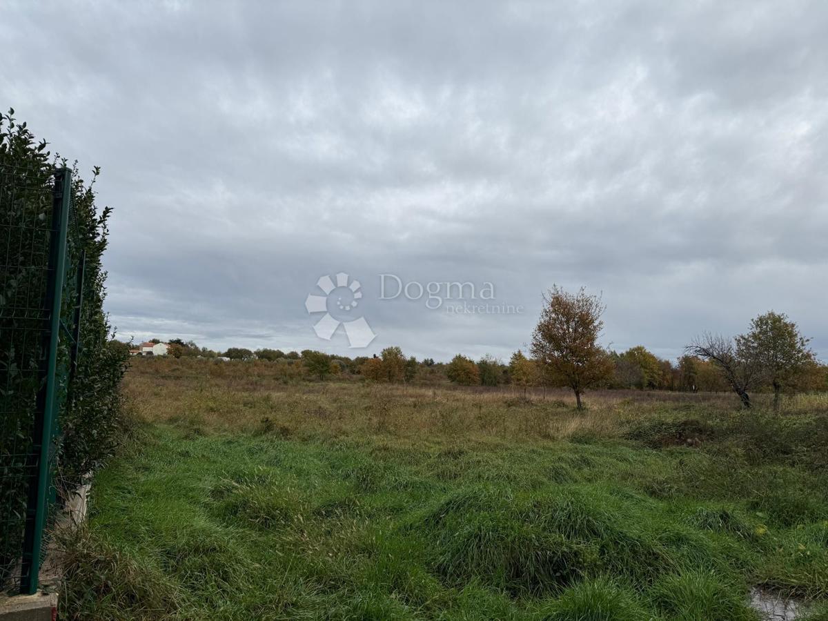 Ampio terreno agricolo a 700 m dal mare - Parenzo