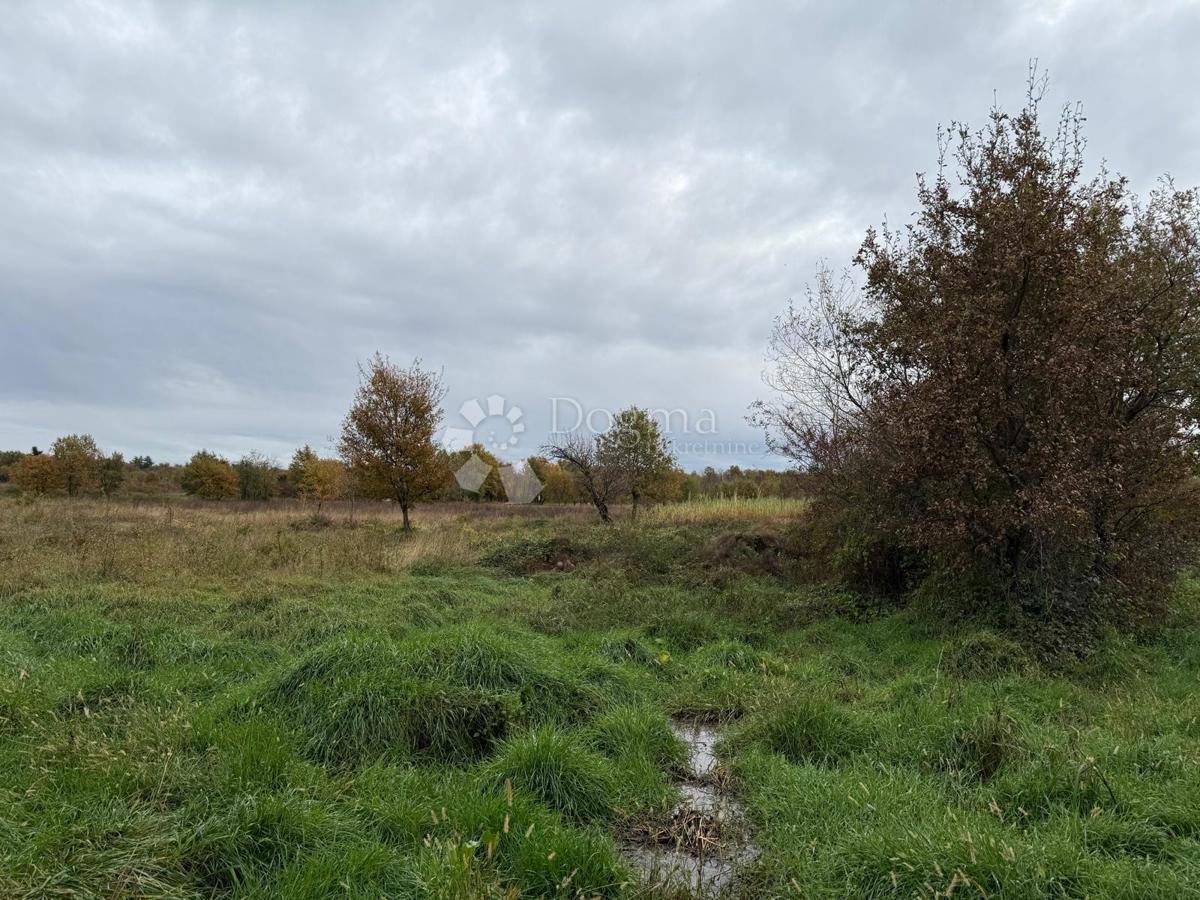 Ampio terreno agricolo a 700 m dal mare - Parenzo