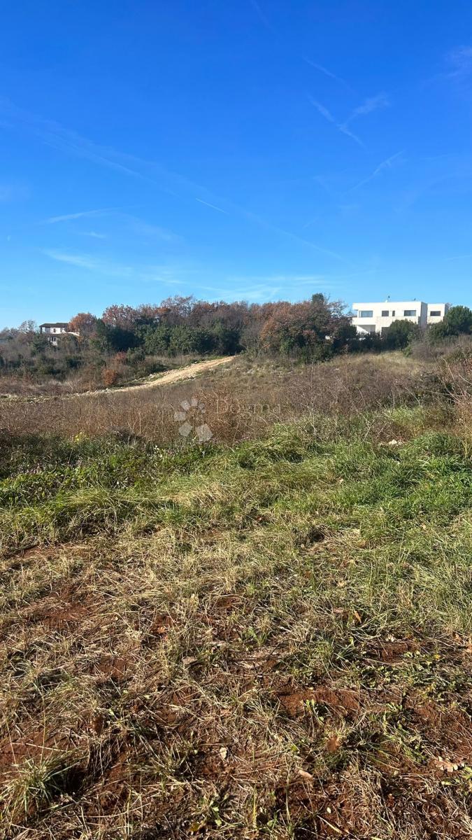 TERRENO EDIFICABILE KRNICA 780M2