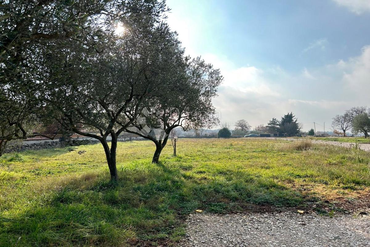 Terreno edificabile Vodnjan, 939m2