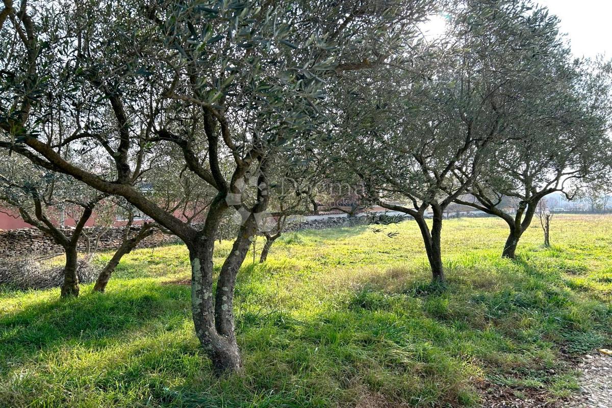 Terreno edificabile Vodnjan, 939m2