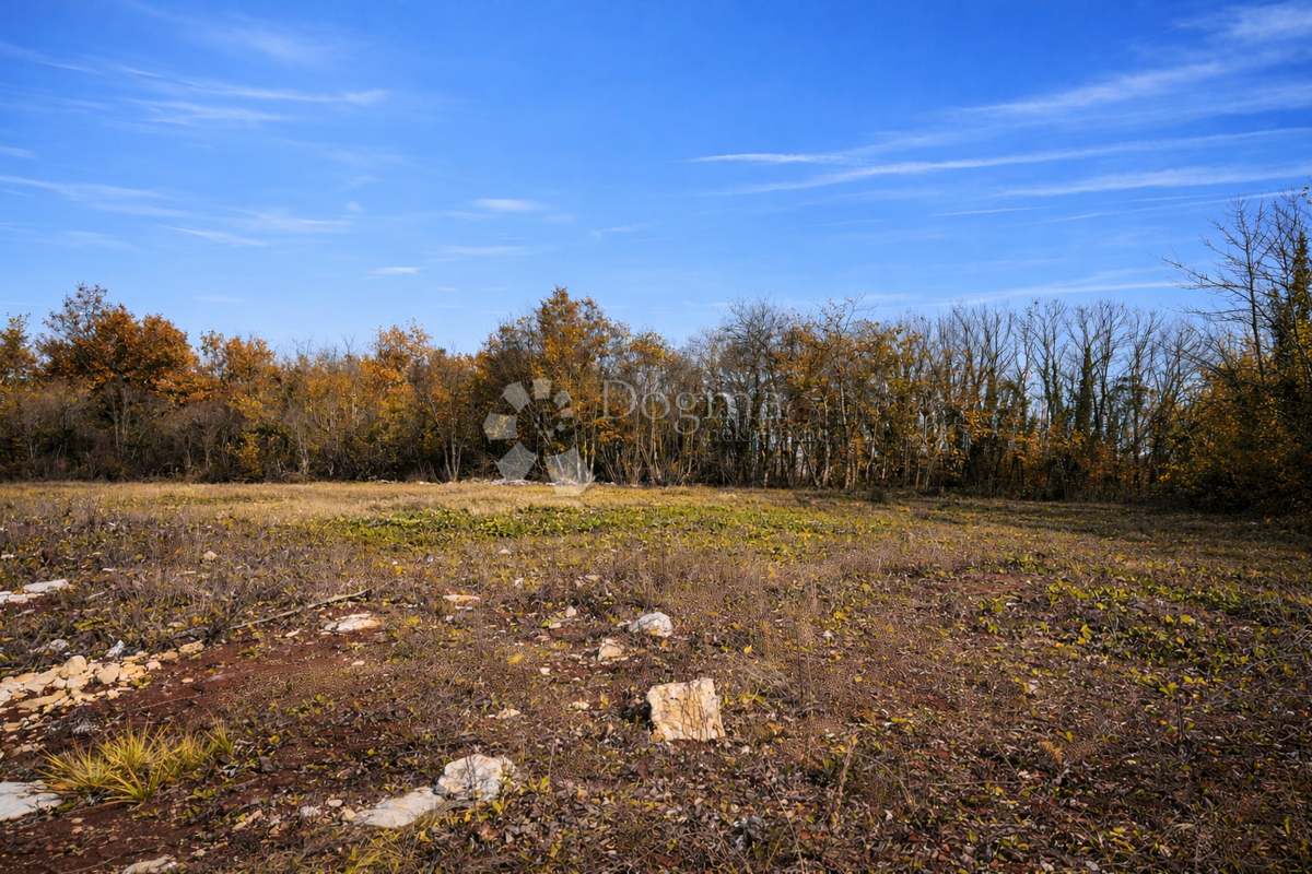 Terreno edificabile Zabrežani, Pazin - Okolica, 3.609m2