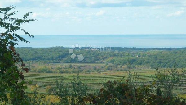 Terreno edificabile Buje, 1.473m2