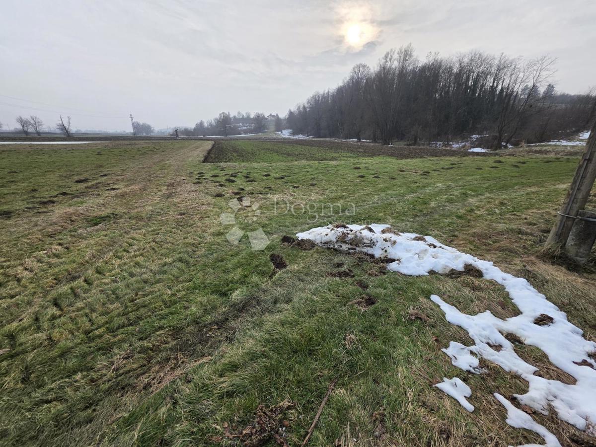 Terreno agricolo Luka, 3.766m2