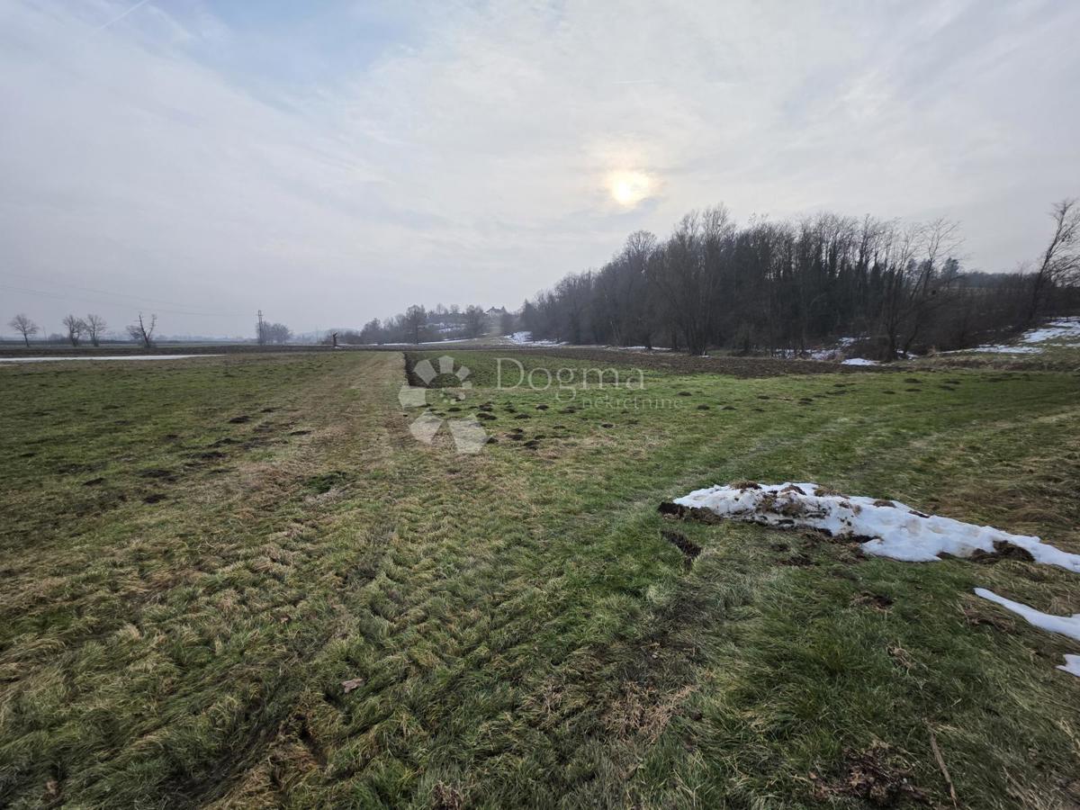 Terreno agricolo Luka, 3.766m2