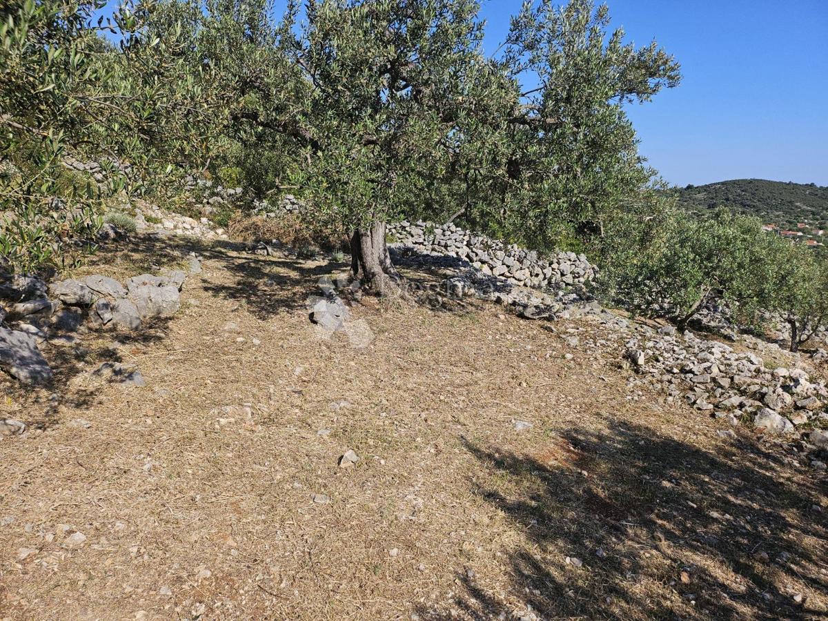 Terreno edificabile Vinišće, Marina, 1.465m2