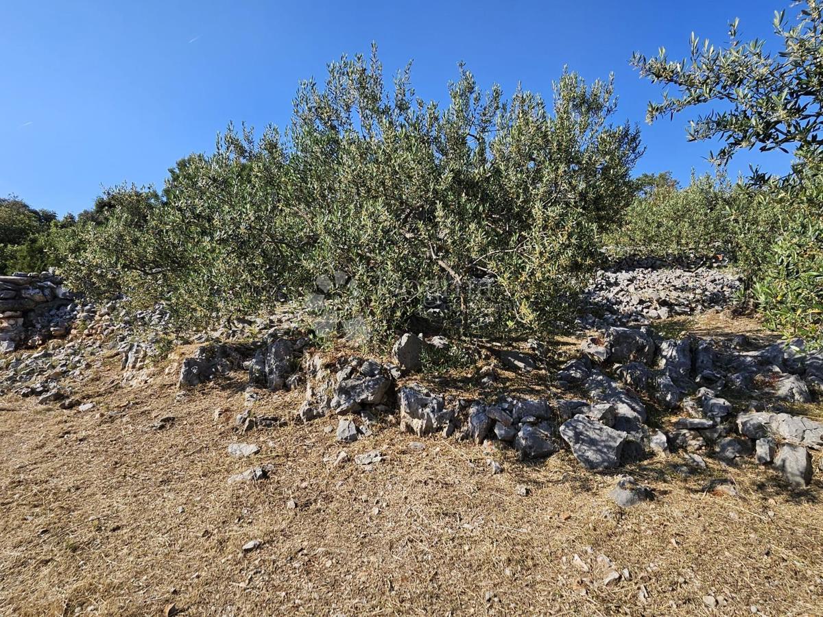 Terreno edificabile Vinišće, Marina, 1.465m2