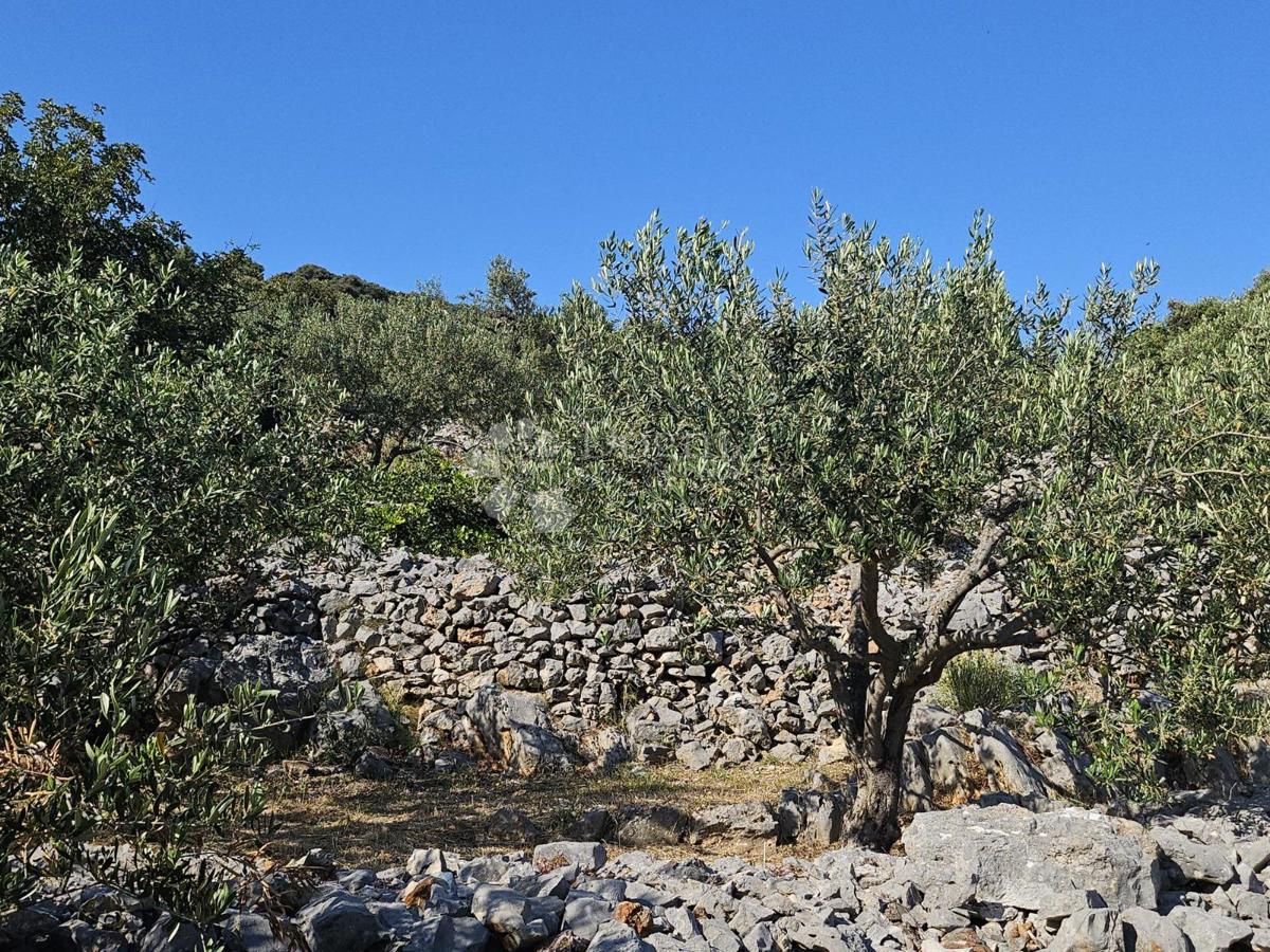 Terreno edificabile Vinišće, Marina, 1.465m2