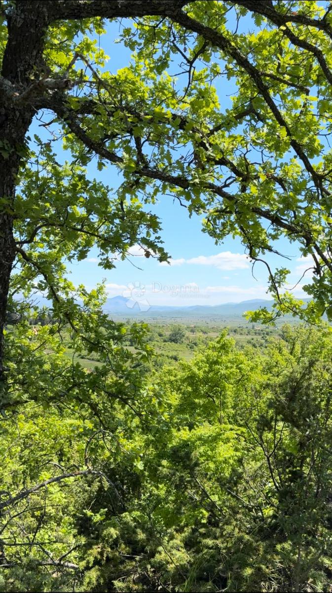 Terreno agricolo Drniš, 60,99m2