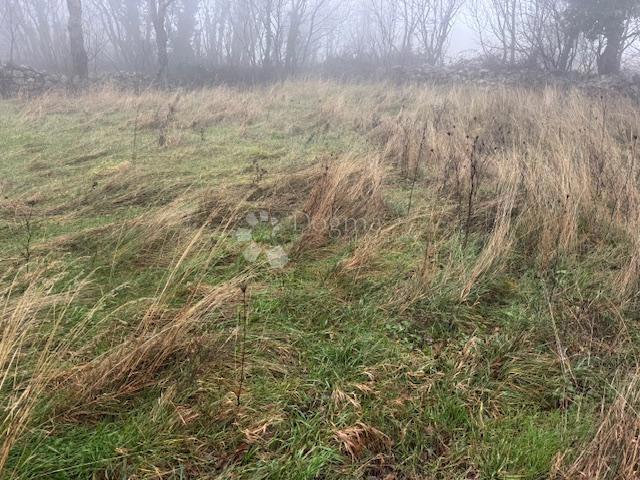 Casa Hreljin, Bakar, 133m2