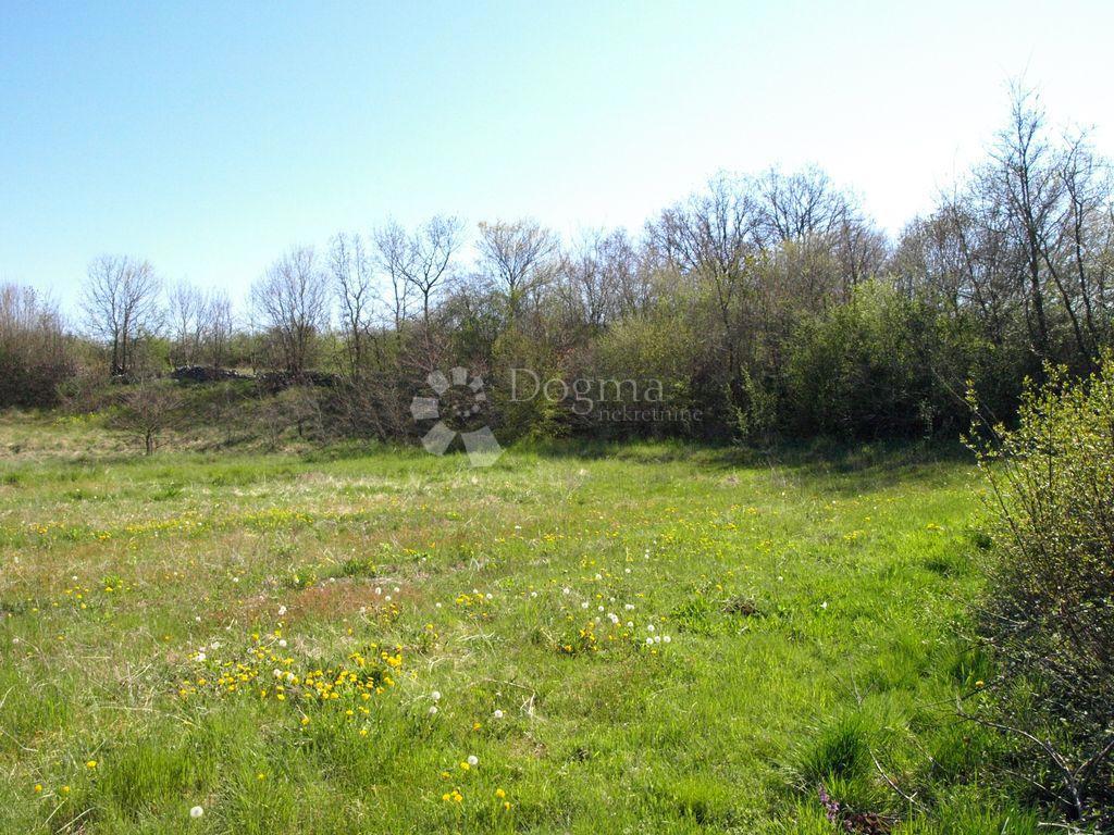 Terreno edificabile Želiski, Barban, 5.000m2