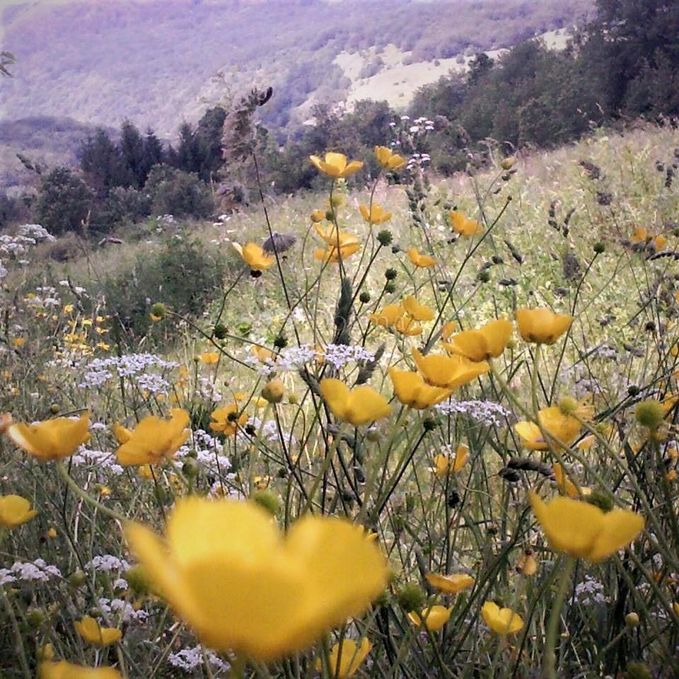 Terreno edificabile Centar, Gospić, 902m2
