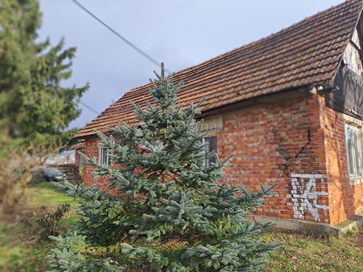 Casa Gvozd, 245,41m2