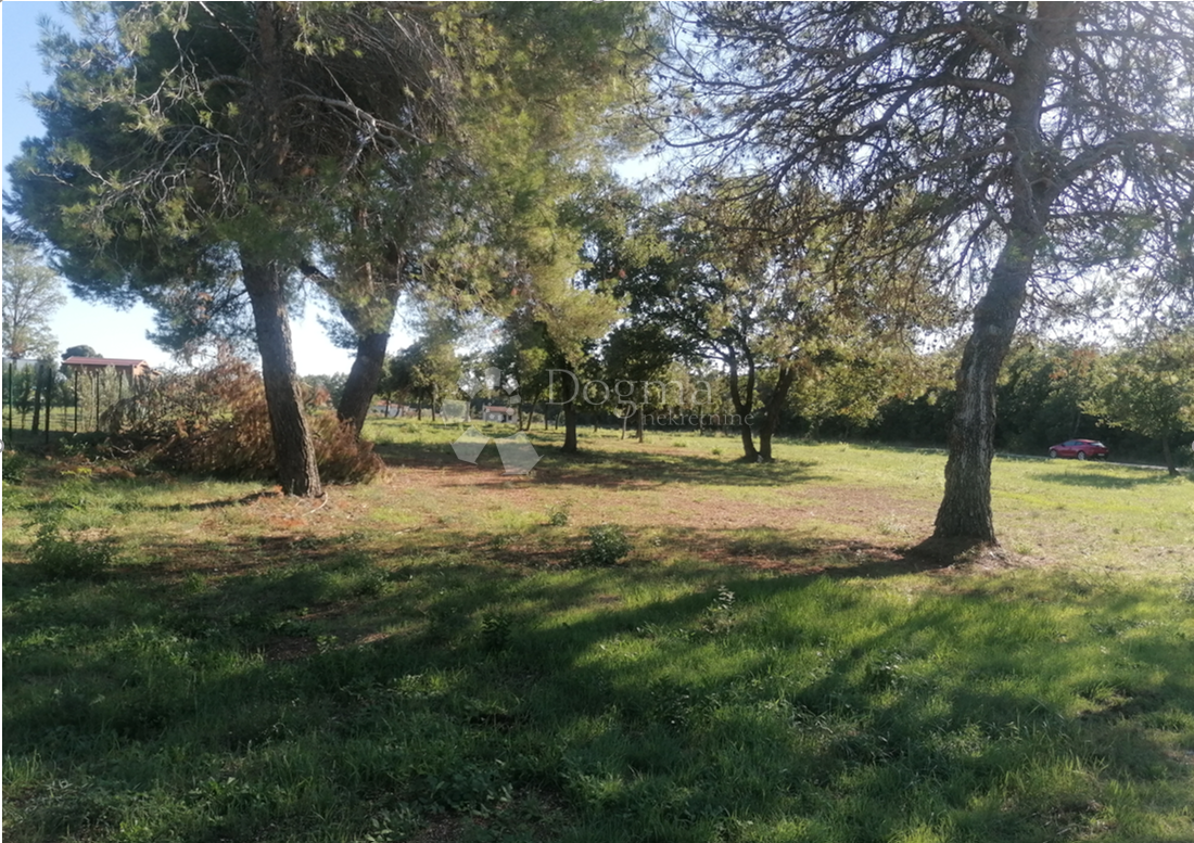 Terreno edificabile Galižana, Vodnjan, 20.512m2