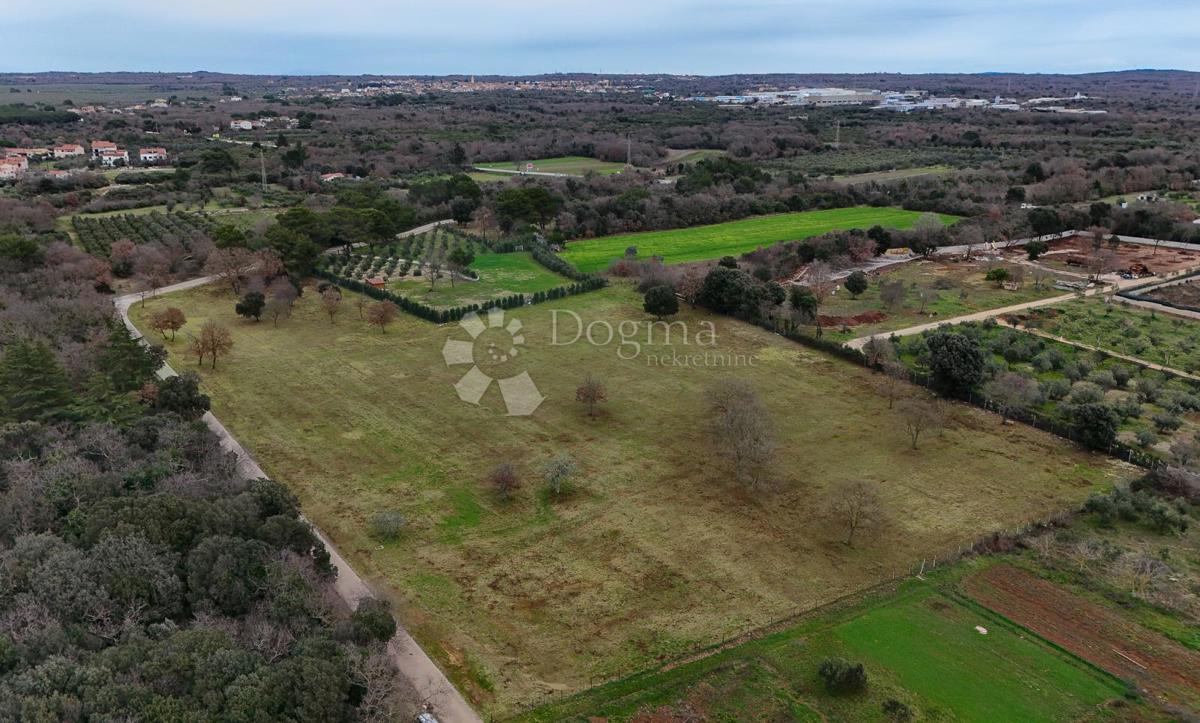 Terreno edificabile Galižana, Vodnjan, 20.512m2