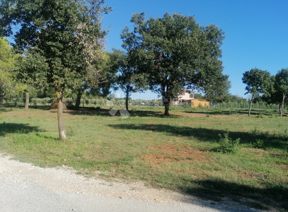 Terreno edificabile Galižana, Vodnjan, 20.512m2