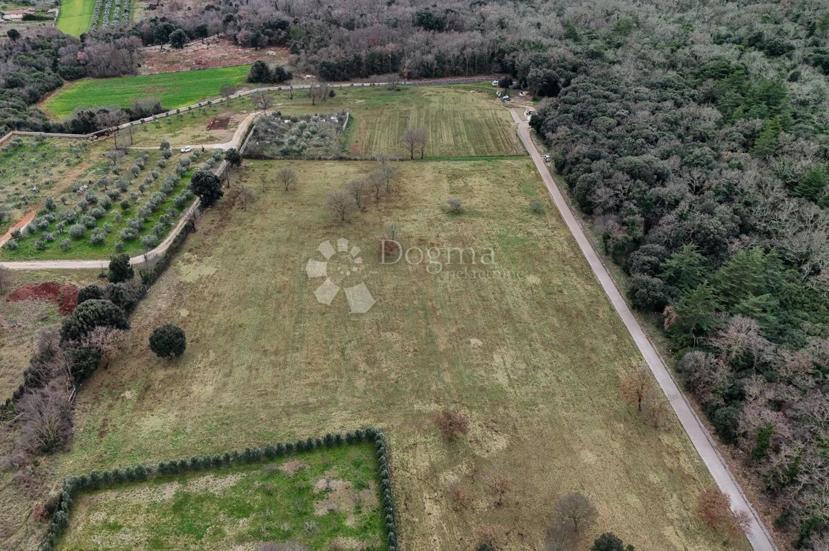 Terreno edificabile Galižana, Vodnjan, 20.512m2