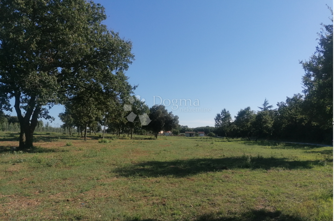 Terreno edificabile Galižana, Vodnjan, 20.512m2