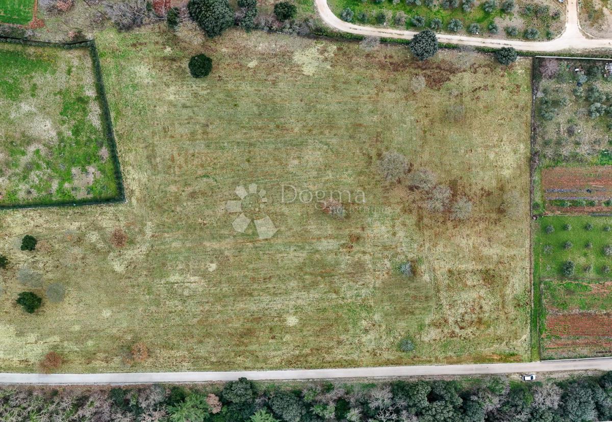 Terreno edificabile Galižana, Vodnjan, 20.512m2
