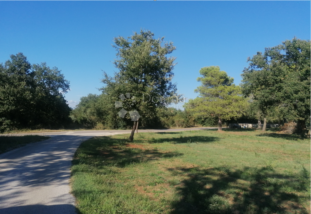 Terreno edificabile Galižana, Vodnjan, 20.512m2