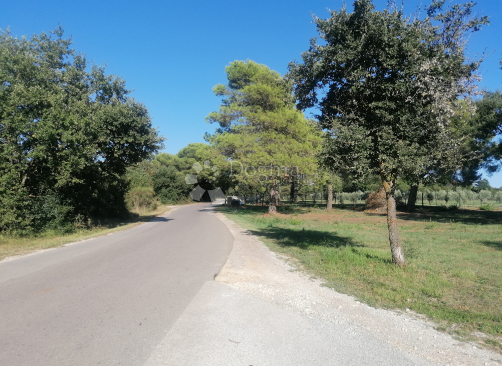 Terreno edificabile Galižana, Vodnjan, 20.512m2