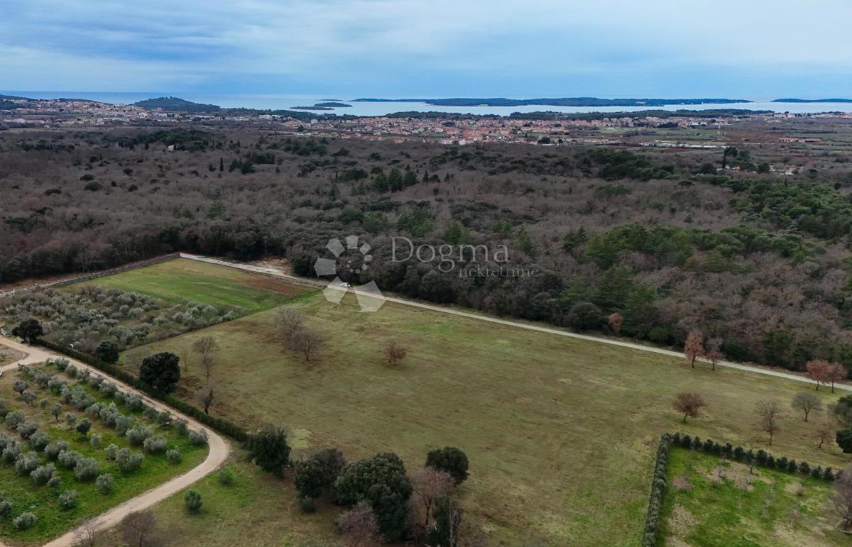 Terreno edificabile Galižana, Vodnjan, 20.512m2