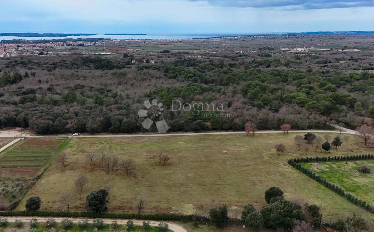 Terreno edificabile Galižana, Vodnjan, 20.512m2