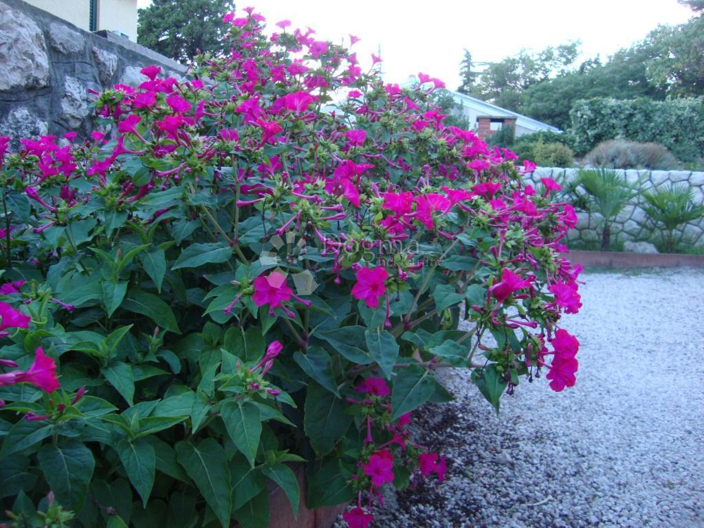 Casa Novi Vinodolski, 262m2